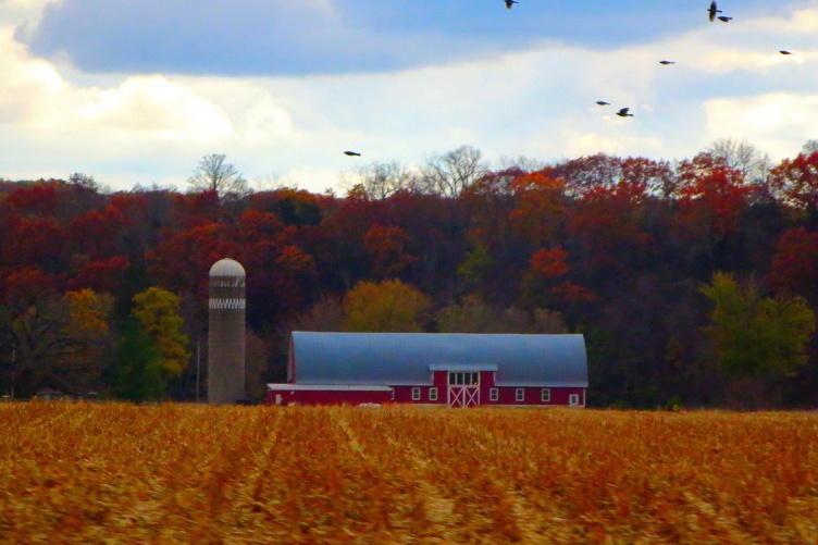 Farm in Wisconsin