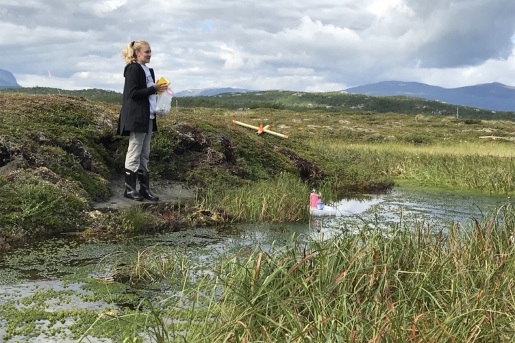 Student researcher stands at edge of stream in Arctic Sweden.