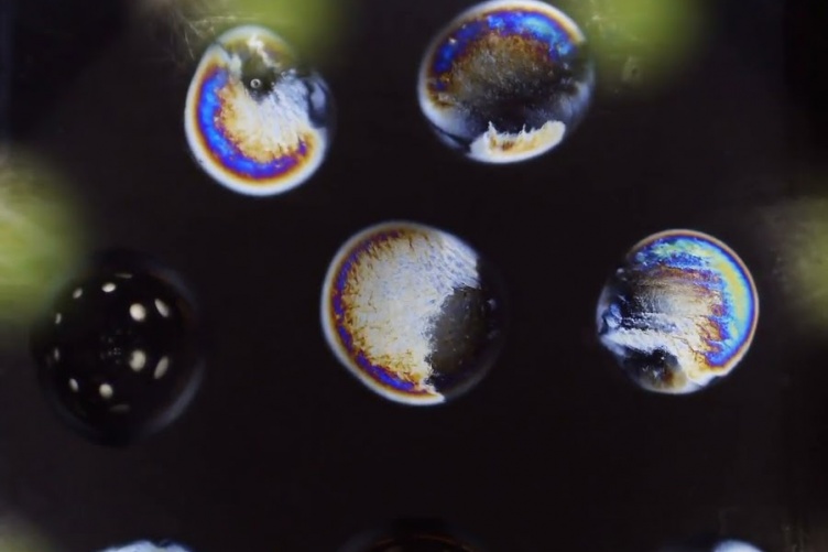 Microscope image of droplets of antifreeze