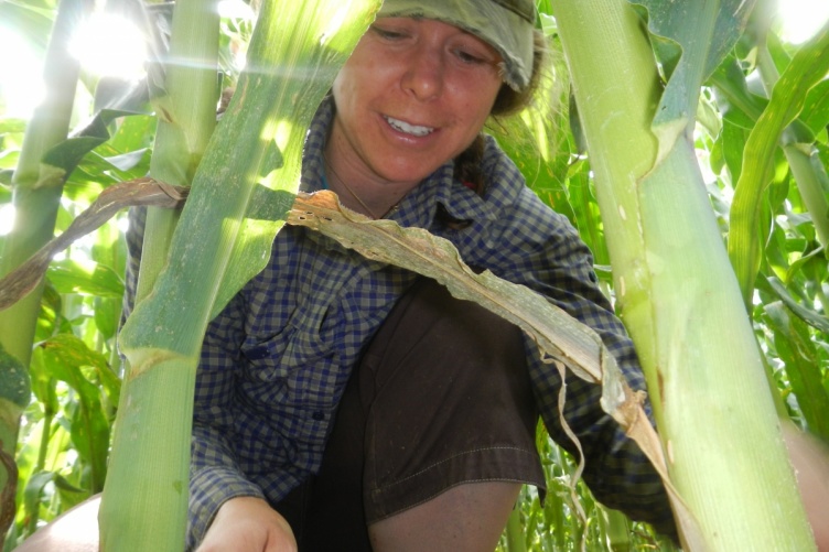 Lesley Atwood collecting samples