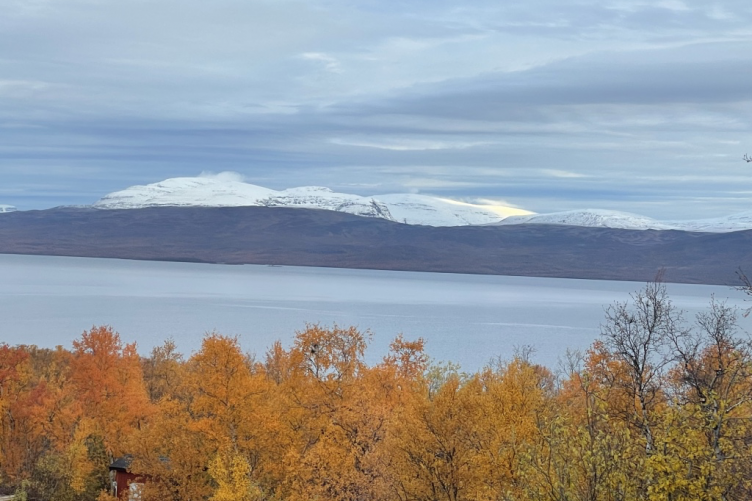 A snow-covered mountain near a body of water and autumn foliage in the foreground.