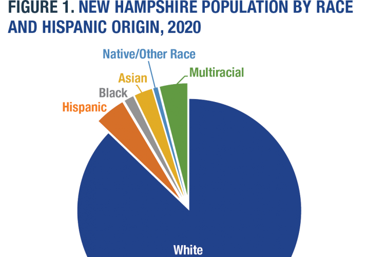 NH by Race and Hispanic Origin, 2020 NH by Race and Hispanic Origin, 2020