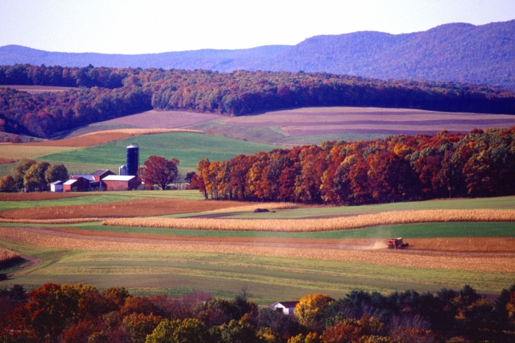 Farm with mountains in background