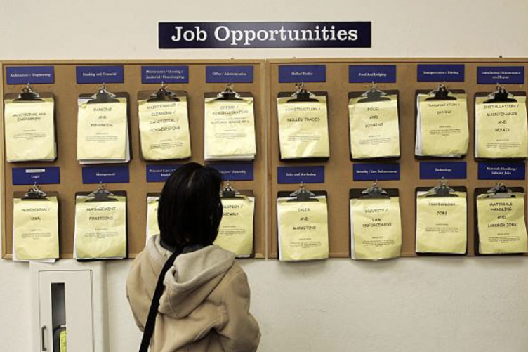 Female looks at a job board.