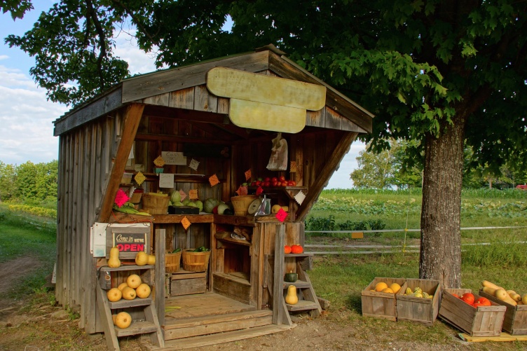 A photo of a farmers' stand, which is an example of an alternative food network