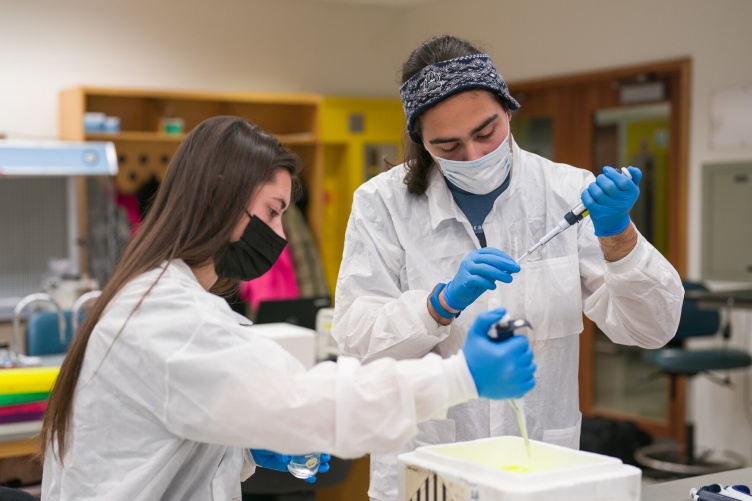 Students work on the plasmid toolbox Students work on the plasmid toolbox