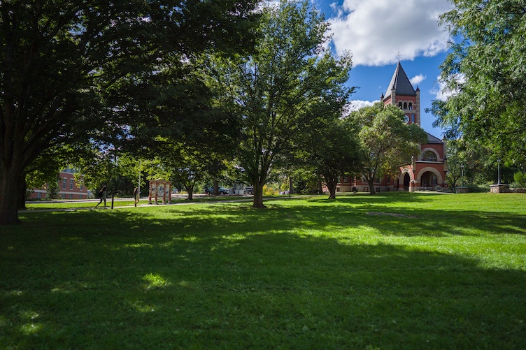 Tree and building on campus