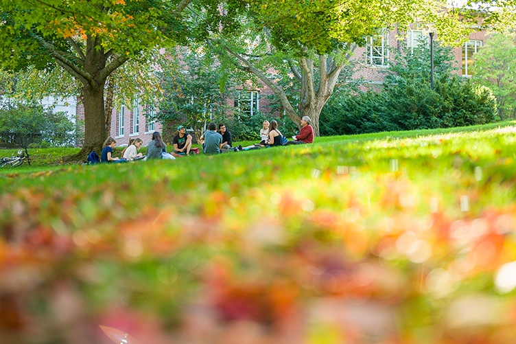 Students sitting on lawn