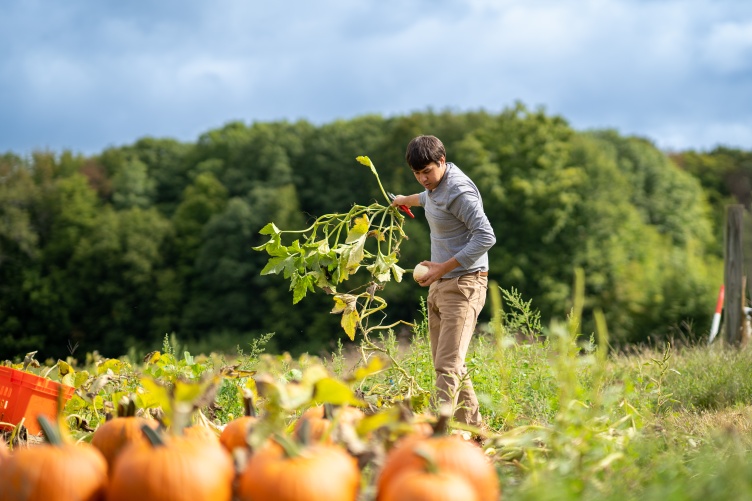 Researcher stands in a pumpkin patchh