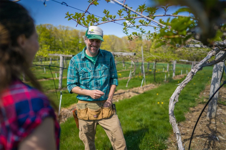 Kiwiberry grower Iago Hale works in the vineyard with a technician