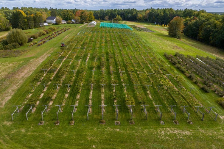 UNH’s kiwiberry vineyard – located at its Woodman Horticultural Research Farm and seen here in the center of the photo – spans nearly two acres of farmland.