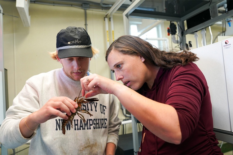 Graduate student Todd Stelling and assistant professor Brittany Jellison examine a freshly caught juvenile lobster.