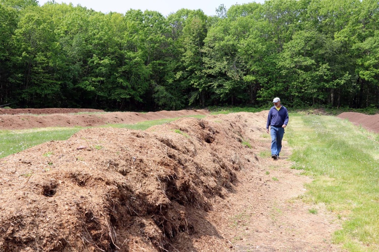 UNH Farm Manager Evan Ford walks down a windrow of bedding and manure from the UNH Equine Facilities.