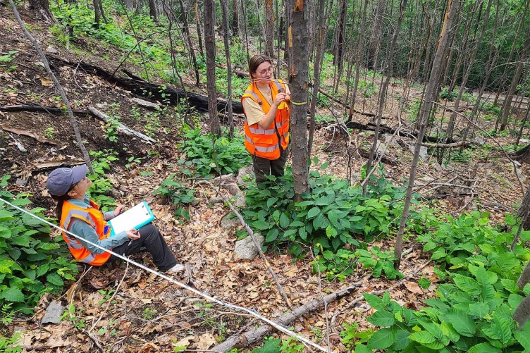 Two researchers, 1 seated with a notepad the other standing next to a tree, measure and take calculations while surveying a forest site.