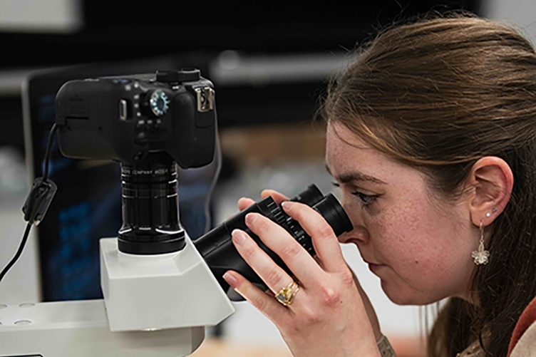 Holly Hoag looks at a Nasonia wasp through a microscope