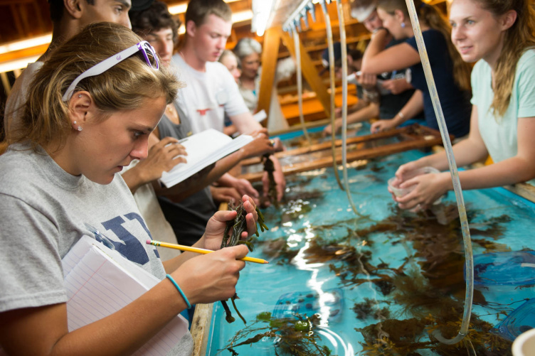 students studying marine life