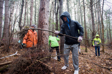 UNH student volunteers cleaning up College Woods on Durham campus