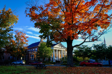 UNH Law teams up with Sportradar to offer first-ever certificate in sports wagering and integrity