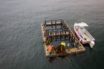 Overhead view of aquaculture pen in ocean