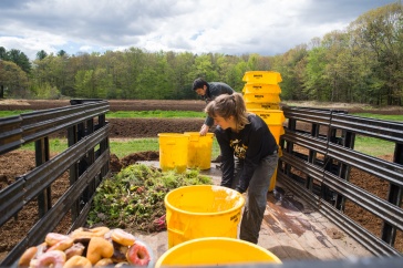 Students loading buckets of dining hall waste to be composted