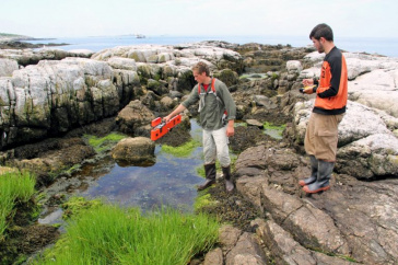 UNH students at the Shoals Marine Laboratory
