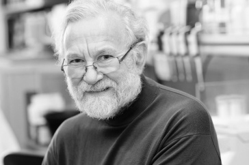 Peter Walter, PhD Howard Hughes Investigator