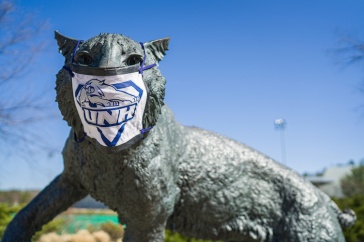 Wildcat statue wearing protective mask