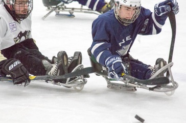 Sled hockey empowers UNH grad to destigmatize disability