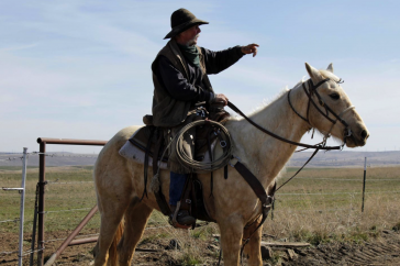 Man rides a horse in rural America