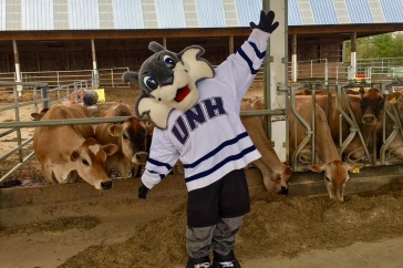 Organic Dairy Grant