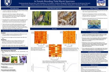 Julia Squillace's Winning URC Poster