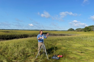 Researcher stands alone in marsh