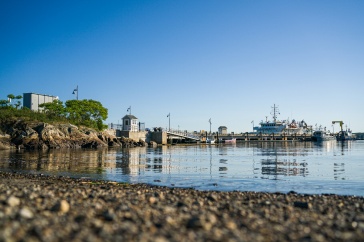 rocky shoreline of the water's edge near a boat dock.