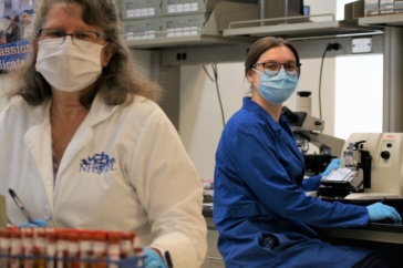 UNH Veterinary Diagnostic Lab Safeguarding Animal and Public Health in State, Region