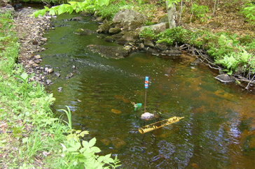 High-frequency water quality sensor