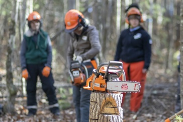 Women working with chainsaws