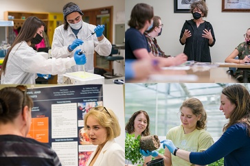 A series of four photos showing women researchers and faculty members engaged in field or lab work, teaching courses, and/or sharing their work with colleagues