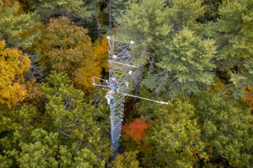 Two people stand on a tall metal tower above a forest canopy.