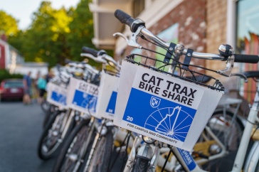 Bikes lined up