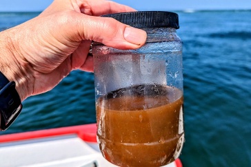 A hand holds a clear jar half-full of brown water, with the ocean in the background.