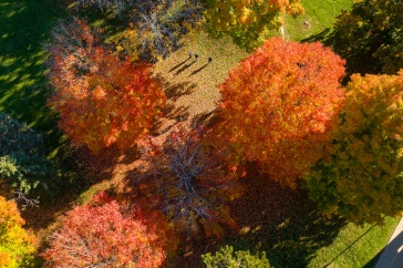 Aerial shot of campus in fall