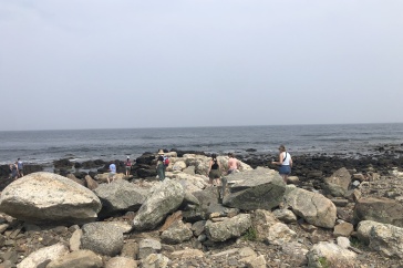 Educators in Last Summer's NEH-Funded Workshop Visit Odiorne Point