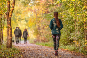 Stock photo of people walking on a trail alongside woods in fall