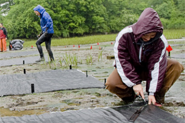 UNH news release featured image