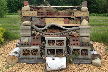 bee hotel