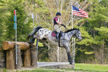 UNH news release featured image