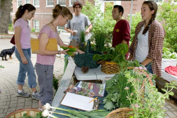 UNH news release featured image
