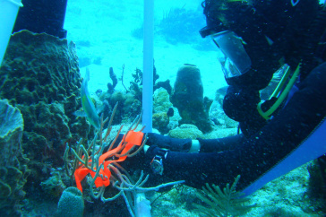 UNH news release featured image