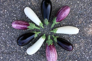 Eggplants