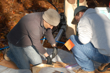 UNH news release featured image